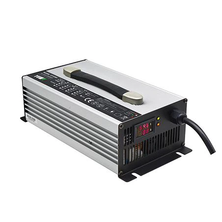 Lifeop4 12v Charger